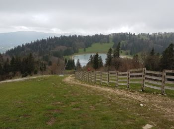 Tocht Stappen Métabief - Meta bief lac Morond - Photo