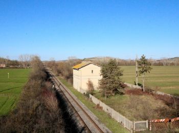 Trail On foot Monteroni d'Arbia - IT-500 - Photo