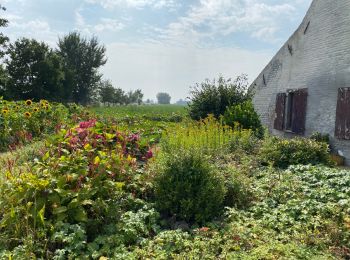 Tour Wandern Camphin-en-Pévèle - Camphin-en-Peleve 18 km - Photo