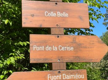 Tour Wandern Gilette - Gilette - Pont de la Cerise et Bouyon - Photo
