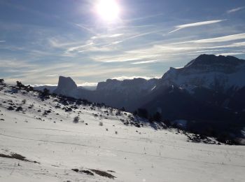 Percorso Racchette da neve Gresse-en-Vercors - Gresse n° 8 - Photo
