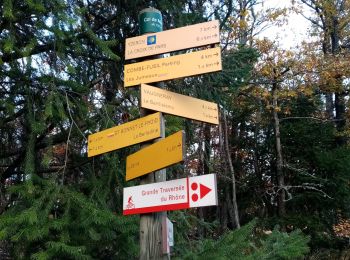 Trail Walking Vaugneray - col de Malval  - Photo