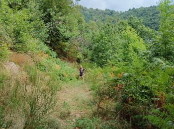 Tour Wandern Belsentes - 20240815 - Photo