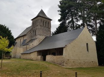 Tour Wandern Gennes-Val-de-Loire - Thoureil - St Georges des Septs Voies - Photo