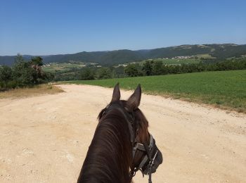 Trail Horseback riding Pont-Salomon - ecurie de l'aurore _ jusqu'à la Loire - Photo