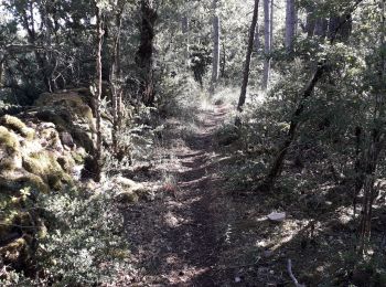Trail Walking Saint-Saturnin - Vers l'antenne de La Canourgue - Photo