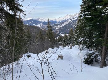 Tocht Sneeuwschoenen Manigod - S7 - Photo