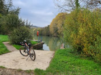 Excursión Bici de montaña Château-Thierry - Sortie VTT du 27/10/2024 - Photo