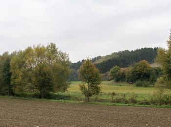 Randonnée A pied Paderborn - Paderborner Karstrundweg - Photo