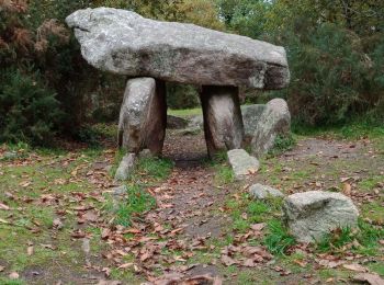 Tocht Stappen Treffiagat - LECHIAGAT - Photo