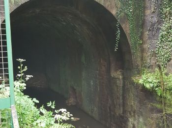 Randonnée Marche Champagney - Canal souterrain de la Haute-Saône - Photo