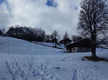 Randonnée Raquettes à neige Sallanches - autour de Mayeres - Photo