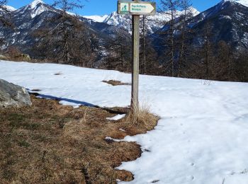 Tocht Ski randonnée Puy-Saint-Pierre - Puy St pierre le prorel  - Photo