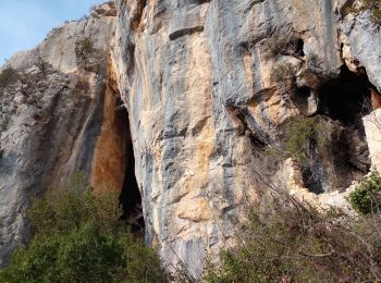 Trail Walking Saint-Guilhem-le-Désert - De baume en baumes à St Guilhem  - Photo