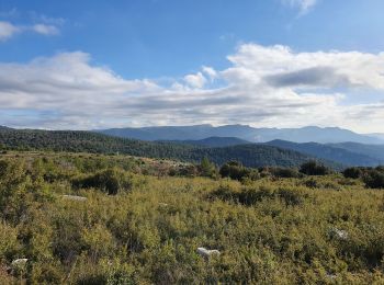 Trail Walking Peynier - Le Garri Circuit - Photo