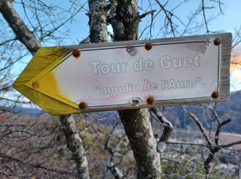 Tour Wandern Château-Arnoux-Saint-Auban - CHATEAU ARNOUX.  S Jean , chemin des Bruyères,  les Grandes Côtes o l s - Photo
