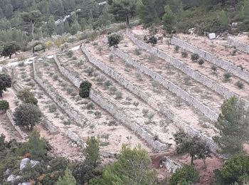 Percorso Marcia Cuges-les-Pins - Cuges les pins + Trou du Vent - Photo