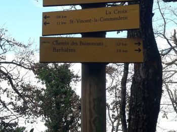 Trail Walking Saint-Vincent-la-Commanderie - le champ des pins St Vincent la commanderie  - Photo