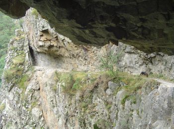 Tour Zu Fuß Thuès-Entre-Valls - Les Balcons de la Têt - Photo