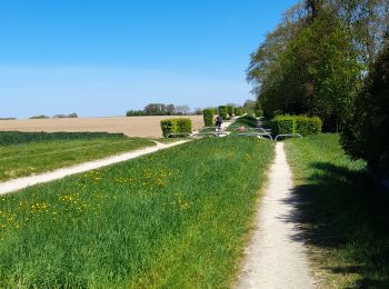 Trail Walking Thorigny-sur-Marne - Carnetin - Aqueduc de la Dhuys - Forêt des Vallieres - Photo