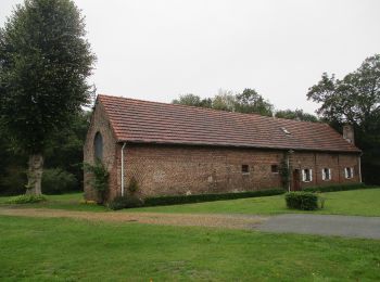 Tocht Te voet Oudsbergen - Bosbeekvallei Rode vierkant - Photo