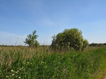 Tocht Te voet Kuden - St.Michaelisdonn Rundwanderweg Nr. 2 Rund um den Kudensee - Photo