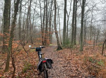 Trail Mountain bike Wavre - Lasnes ch bloqué - Photo