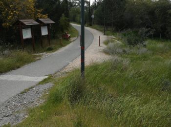 Excursión Senderismo Δήμος Αγλαντζιάς - athalassa plus lac - Photo