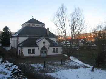 Percorso A piedi Bad Soden-Salmünster - Mernes - Wanderweg Hirsch - Photo