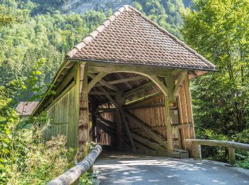 Excursión A pie Schwyz - Schlattli - Bläckerli - Photo