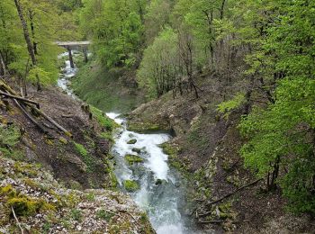 Trail Walking Foncine-le-Bas - Autour de la cascade du Bief de la Ruine 🥾 - Photo