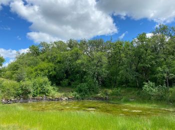 Tocht Stappen Varaire - Limognes Lugagnac  - Photo