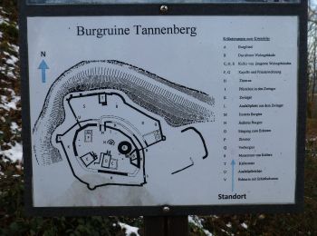 Trail On foot Seeheim-Jugenheim - Ortsrundwanderweg Ober-Beerbach 3: Bannwald Weg - Photo