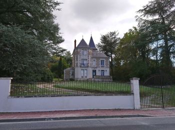 Tour Wandern Saint-Georges-sur-Cher - Saint-Georges-sur-Cher - SE - 13.2km 120m 3h05 - 2018 04 02 - Photo