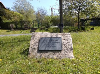 Tour Zu Fuß Sinntal - Sterbfritz - Rundweg 2 - Photo