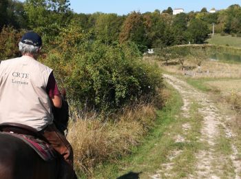 Tocht Paardrijden Charmois - rando des vergers 2020  - Photo