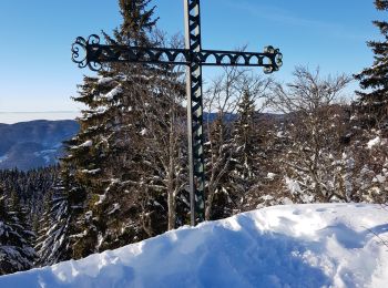 Tour Schneeschuhwandern Autrans-Méaudre en Vercors - gros martel - Photo