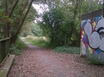 Tour Zu Fuß Overath - Overath Rundwanderweg Ost - Photo