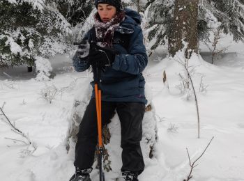 Trail Snowshoes Autrans-Méaudre en Vercors - Balade Gros Martel - Photo