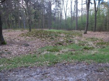 Tour Zu Fuß Hellendoorn - WNW Twente - Eelerberg - paarse route - Photo