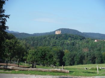 Trail Walking Lembach - Autour du Fleckenstein - Photo