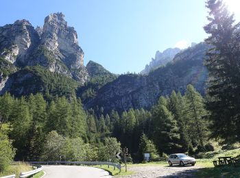 Trail On foot Val di Zoldo - IT-524 - Photo