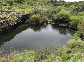 Trail On foot Katzrin - קצרין-זויתן-חניון יהודיה - Photo