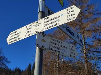 Randonnée A pied Baiersbronn - Baiersbronn Gleitschirmlandeplatz-Freudenstadt - Photo