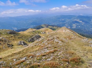 Excursión Senderismo Fiumalbo - Doccia del Cimone -> (presque) sommet du monte Cimone - Photo