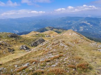 Trail Walking Fiumalbo - Doccia del Cimone -> (presque) sommet du monte Cimone - Photo