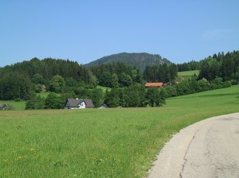 Randonnée A pied Semriach - Hochtrötsch Rundwanderweg 14a - Photo