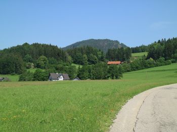 Excursión A pie Semriach - Hochtrötsch Rundwanderweg 14a - Photo