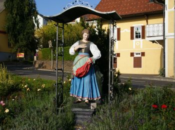 Percorso A piedi Sankt Stefan im Rosental - Für Pferdeliebhaber - Photo