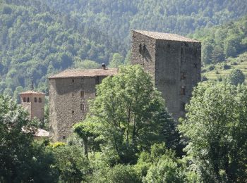 Randonnée A pied Vallfogona de Ripollès - Trescant per la Serra de Puig d'Estela - Photo